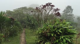 Miraflor Natural Reserve