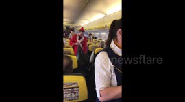 Newsflare Edit - Stag collecting rubbish on Ryanair flight