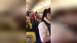 Newsflare Edit - Stag collecting rubbish on Ryanair flight