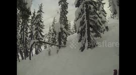 Snowboard grind off a tree