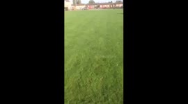 Dog catches frisbee fail