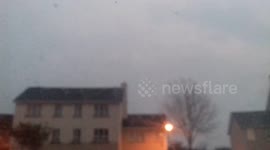 Flock of birds flying
