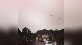 flock of birds flying in eerie sky over Cardiff as Ophelia approaches