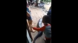 Three-year-old boy riding python during deadly floods in Vietnam