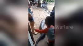 Newsflare Edit - Three-year-old boy riding python during deadly floods in Vietnam