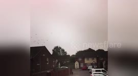 Flock of birds flying in eery sky over Cardiff as Ophelia approaches
