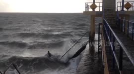 This diehard is out for a 5km swim during Storm Ophelia