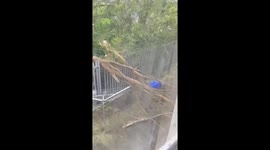 Ophelia, what have you done to our laundry dryer!