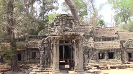 Ancient Trees Growing From Temple at Angkor Wat, Cambodia