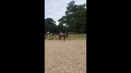 Young horse jumps HUGE over a little jump