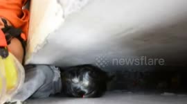 Firefighters free girl after her head got stuck between two walls