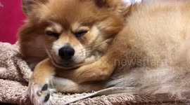 My current mood right now