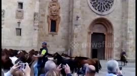 Wild horses As San Lucas