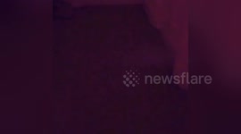 Newsflare Edit - Scared My Niece