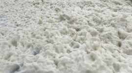 Foam that was pushed on land by hurricane Ophelia Part 1