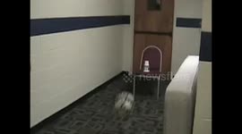 Soccer player kicks guys in between the legs.