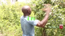 ANGEL MMM Short Film (Watch To See How People Takes Money Opportunities For Granted)