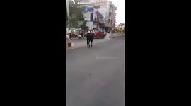 Passionate bull tries to mount scooter shocking its two riders