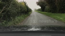 Driving in the fog