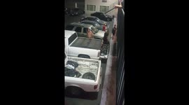 Pimping and his hoe beat up kids and women