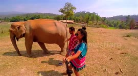 Epic Thailand Trip | Koh Tao, Chiang Mai, Koh Phangan, Samui, BKK & More | Tom Voyage!