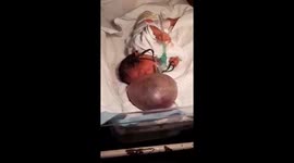 Parents appeal for help after daughter is born with bubble on face