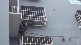 邯郸魏县:女童被卡防盗窗 消防“蜘蛛侠”攀爬救人