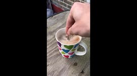 How To Make British Tea In Russia