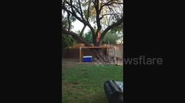 Kid Fails while playing nerf with friends