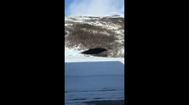 Raven races semi truck