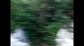 México. Santuario-Sotano de las Hua Huas. Swallows birds cave. Vistas cueva antes de entrada de las aves. 2014