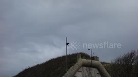 Crows playing with wire