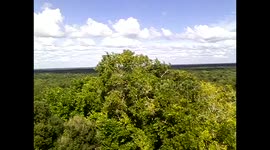 México. Valladolid. Ek Balam. Main pyramid ruins. Jungle views. Vistas 360º de la selva desde pirámide principal narrada. 2014
