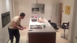 Dog and owner play this game every evening.