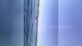 Newsflare Edit - México-Mazunte. Whales. Avistamiento de ballenas. 2014.11.15. Toma (2)