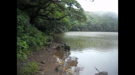 Nicaragua. Ometepe. Volcano green lagoon, lake. Subida al volcán Maderas. Vistas de la laguna verde. 2014