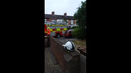 An urban Muntjac deer rescued in Peterborough, UK