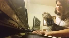 Dog sings along as owner plays his favourite tune on the piano
