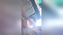 Newsflare Edit - Drunk uncle