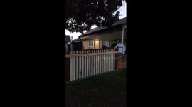 Doggy jump jump