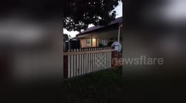 Newsflare Edit - Doggy jump jump