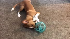 When you just want something SO bad!!! But can’t quite get it!!