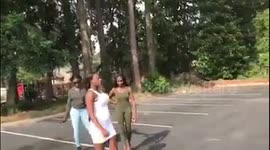 Savannah Fight