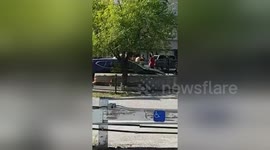 Newsflare Edit - a fight near portage place in winnipeg, july 2017.