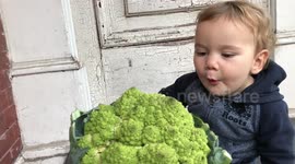 Adorable baby's mind is blown by strange looking vegetables