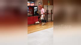 Newsflare Edit - Cat at airport