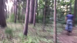 Mountain Biking Through The Festival Woods