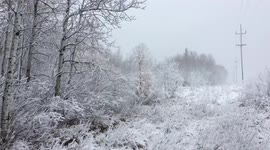 First snowfall turns Manitoba into winter wonderland