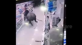 Runaway water buffalo attacks woman inside supermarket