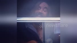 Newsflare Edit - cats